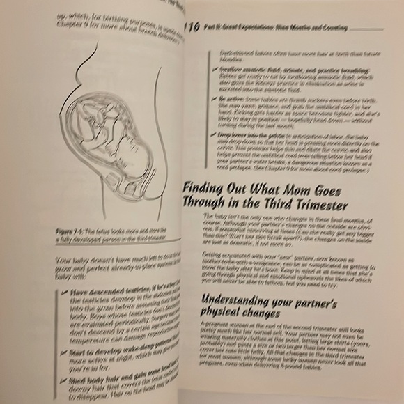 4/$10 Dad’s guide to pregnancy for dummies book, New condition, Never read - Picture 3 of 3